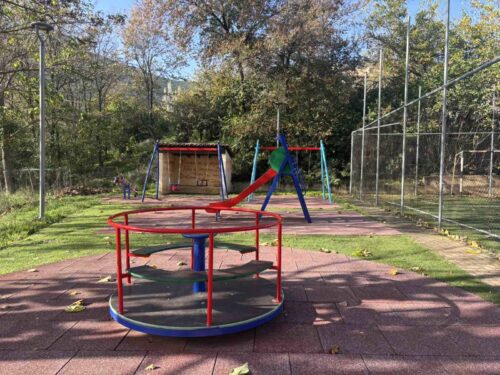 Εικόνα άρθρου