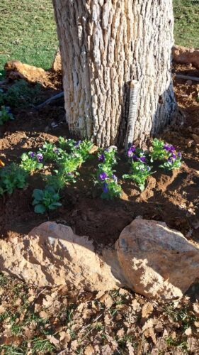 Εικόνα άρθρου