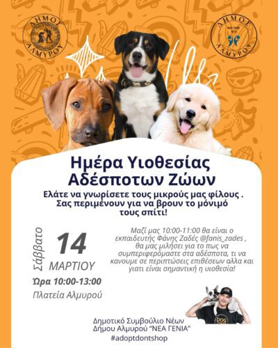 Εικόνα άρθρου