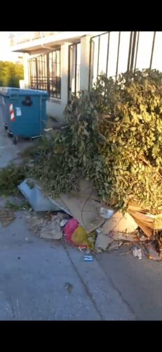 Εικόνα άρθρου