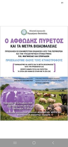Εικόνα άρθρου